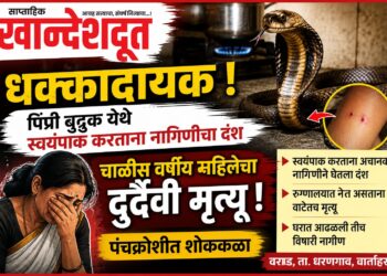 धक्कादायक ! : पिंप्री बुद्रुक येथे स्वयंपाक करताना नागिणीचा दंश