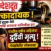 धक्कादायक ! : पिंप्री बुद्रुक येथे स्वयंपाक करताना नागिणीचा दंश