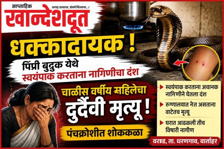 धक्कादायक ! : पिंप्री बुद्रुक येथे स्वयंपाक करताना नागिणीचा दंश
